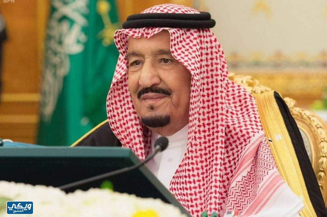 كم ملك حكم السعودية 