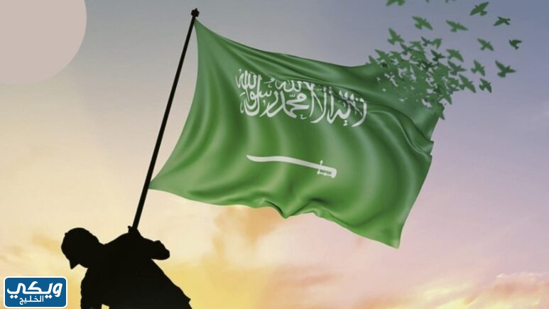 يوم العلم في الرياض