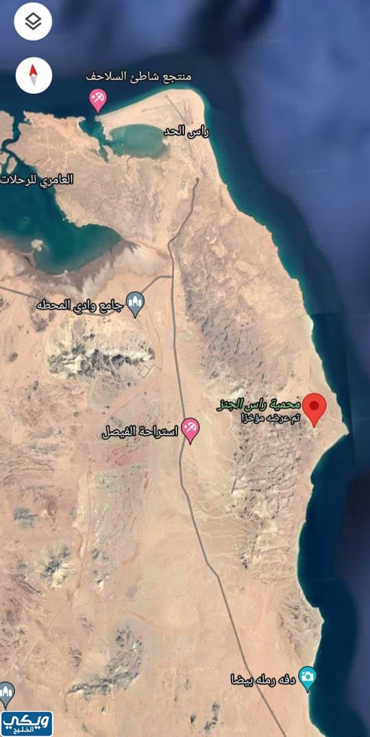 اين تقع محمية السلاحف في عمان