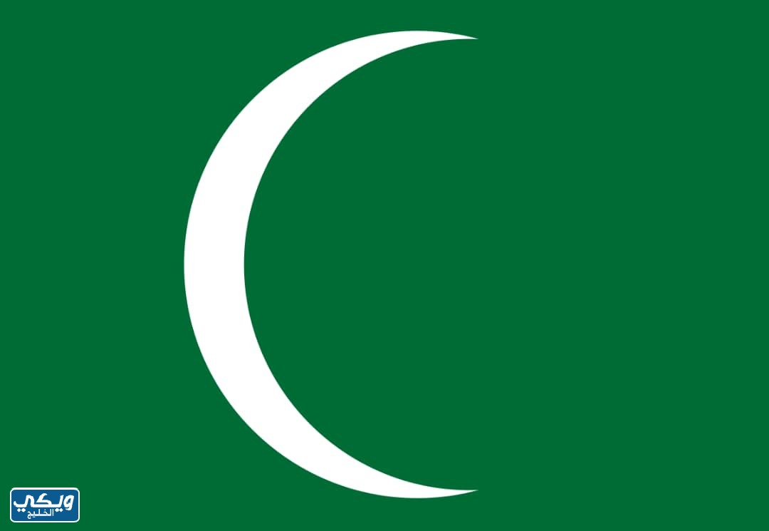 علم الدولة السعودية الأولى