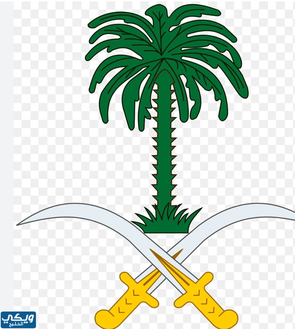 ما هو مجلس الشورى السعودي