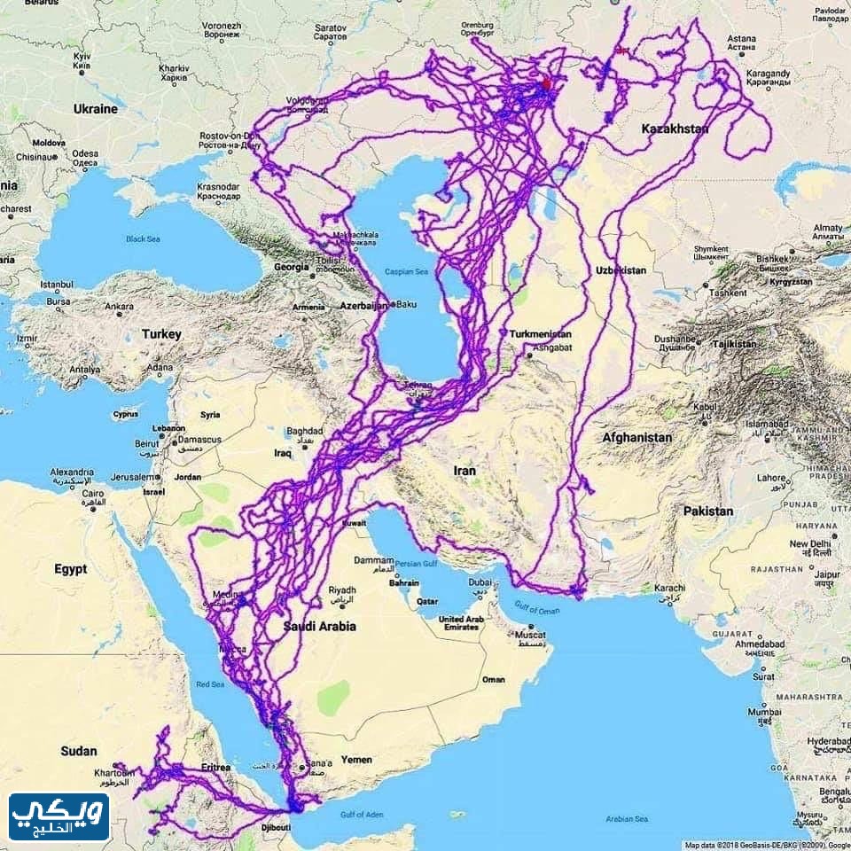 خريطة هجرة الطيور في السعودية