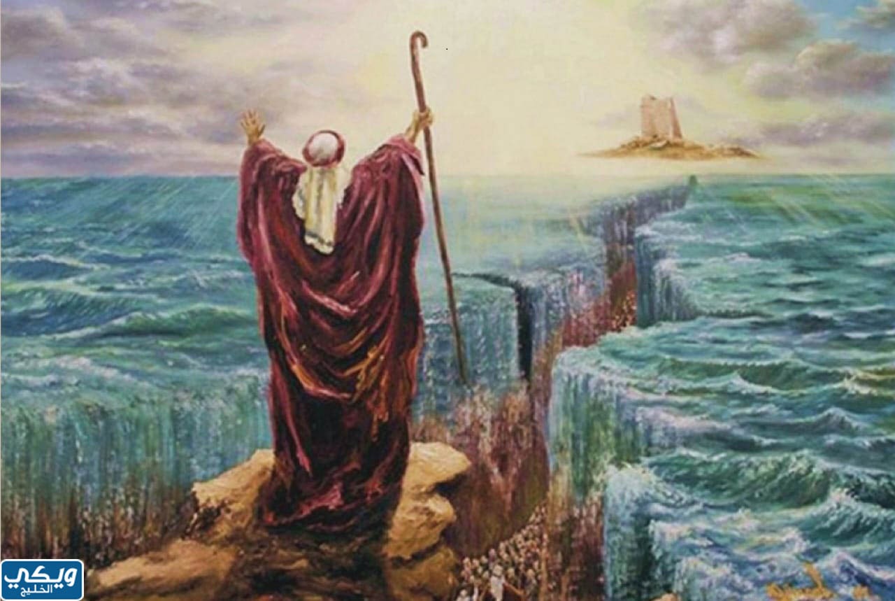 رد الله على دعوات موسى