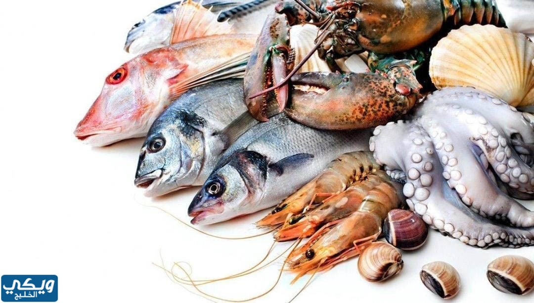 ماهي أول دولة في صيد الأسماك عربيا