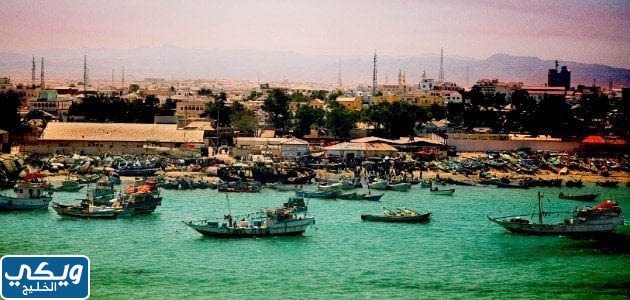هل الصومال دولة عربية