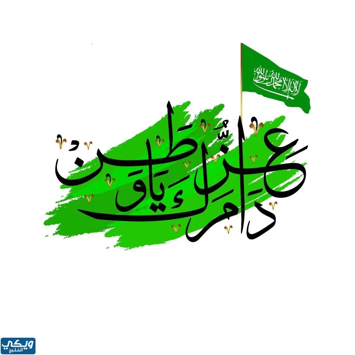 صور اليوم الوطني السعودي