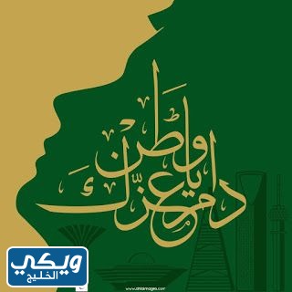 صور عن اليوم الوطني السعودي 1445