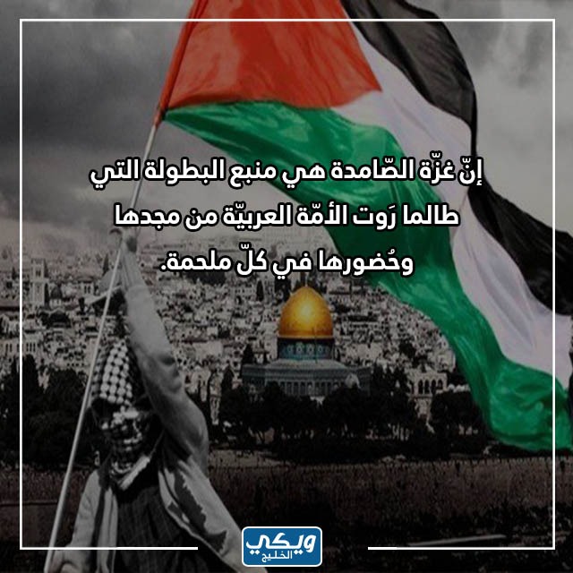  كلام عن فلسطين وغزة العزة