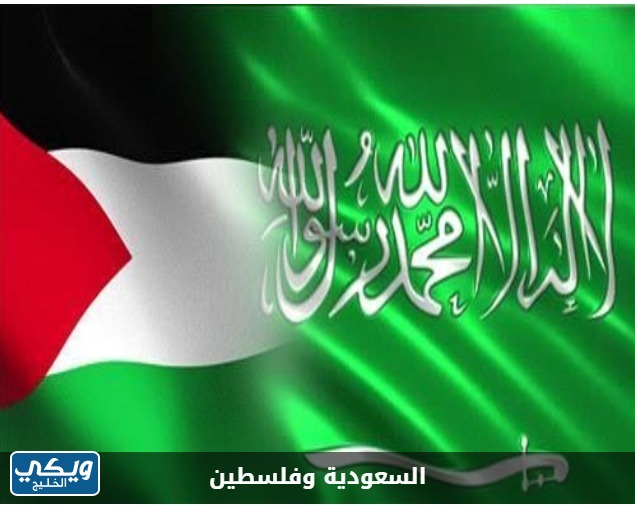 هل السعودية تدعم فلسطين