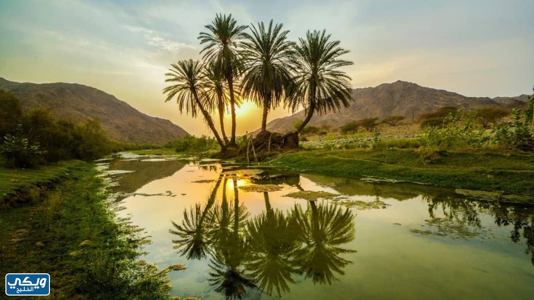 كم طول وادي الرمة في السعودية