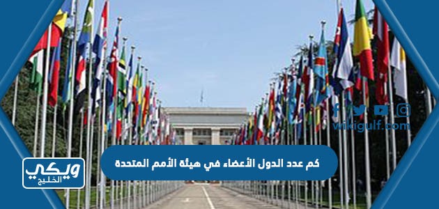 كم عدد الدول الأعضاء في هيئة الأمم المتحدة