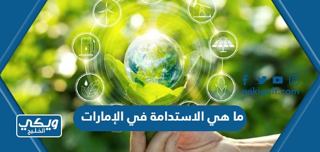 ما هي الاستدامة في الإمارات