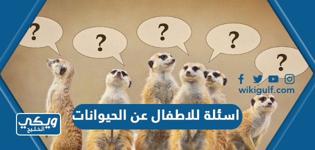 اسئلة للاطفال عن الحيوانات مع الاجوبة