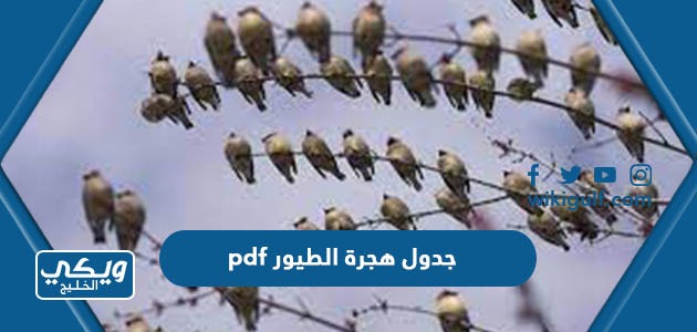 جدول هجرة الطيور 1445 pdf