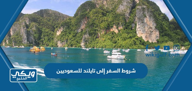 شروط السفر إلى تايلند للسعوديين 2024