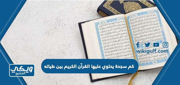 كم سجدة يحتوي عليها القرآن الكريم بين طياته