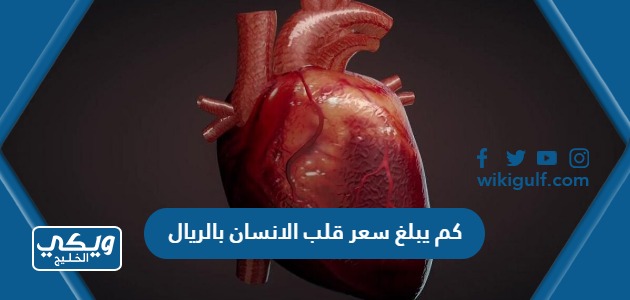 كم يبلغ سعر قلب الانسان بالريال في السعودية