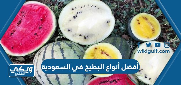 أفضل أنواع البطيخ في السعودية
