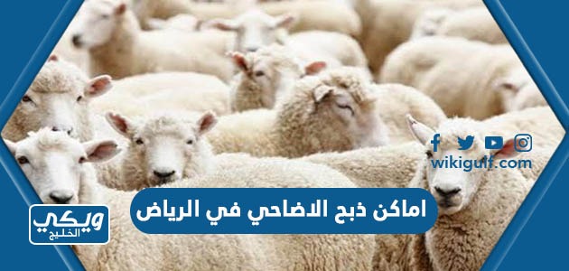 اماكن ذبح الاضاحي في الرياض 2023 “المواقع ومواعيد العمل”