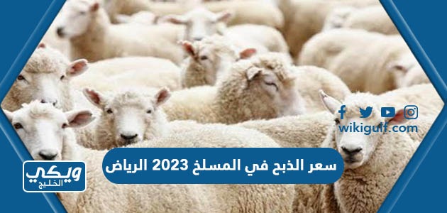 سعر الذبح في المسلخ 2023 الرياض