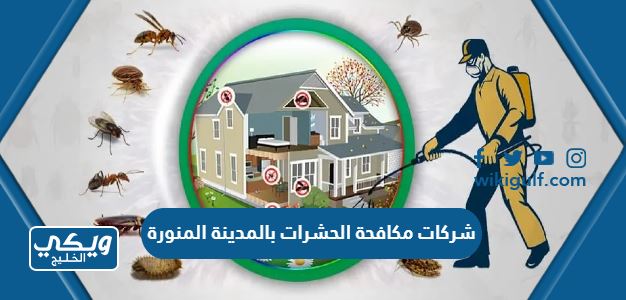 شركات مكافحة الحشرات بالمدينة المنورة