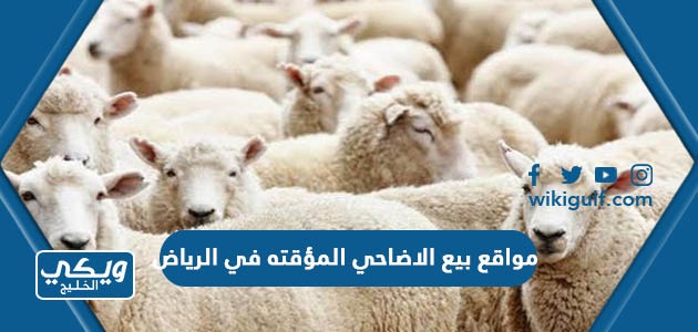 مواقع بيع الاضاحي المؤقته في الرياض 2024 ومواعيد العمل
