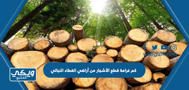 كم غرامة قطع الأشجار من أراضي الغطاء النباتي في السعودية