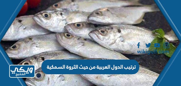 ترتيب الدول العربية من حيث الثروة السمكية
