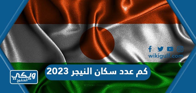كم عدد سكان النيجر 2024
