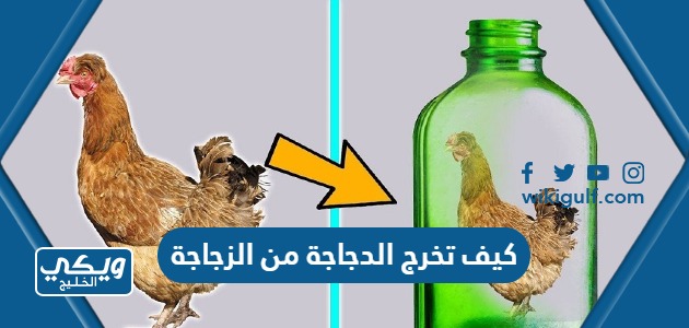 كيف تخرج الدجاجة من الزجاجة