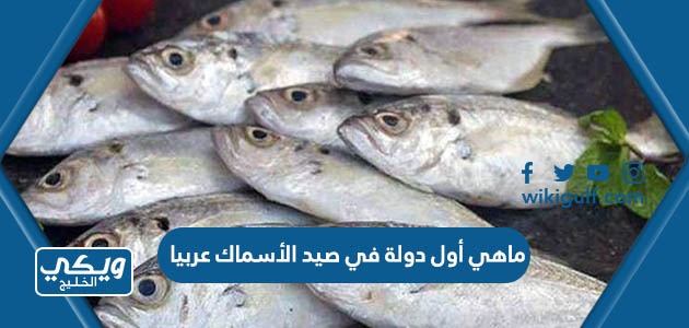 ماهي أول دولة في صيد الأسماك عربيا