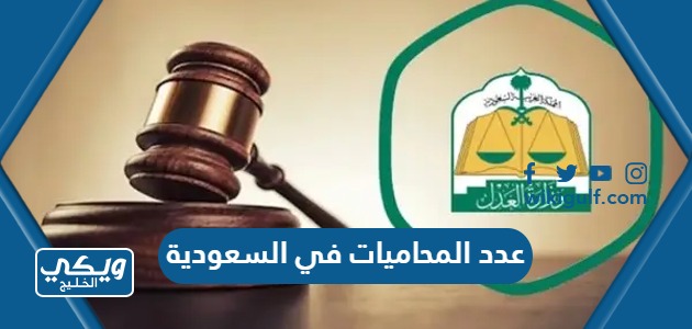 كم عدد المحاميات في السعودية 2024