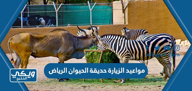 مواعيد الزيارة حديقة الحيوان الرياض