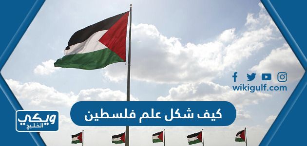 كيف شكل علم فلسطين ، صور علم فلسطين