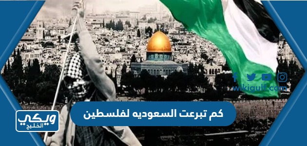 كم تبرعت السعوديه لفلسطين عبر التاريخ