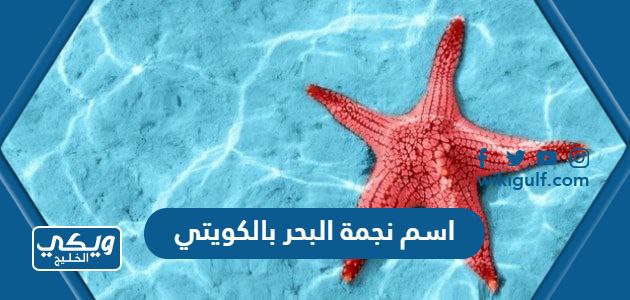 ماهو اسم نجمة البحر بالكويتي
